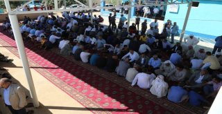 Şanlıurfada Düğünde Silaha Hayır Kampanyası