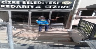 Cizre Belediyesi İlaçlama Çalışmalarına Devam Ediyor