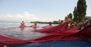 (Özel Haber) Balıkçılar Bu Balığa Av Yasağı Getirilmesini İstiyor