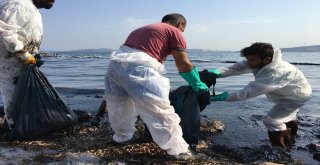 Çevrecilerden Foçadaki Petrol Kirliliğine İlişkin Açıklama