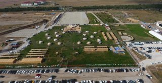 Erzurum Türk Oyunları Başladı