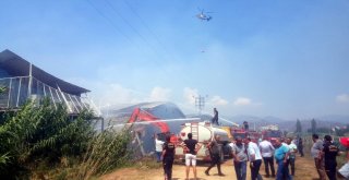 Nazillideki Yangın Kontrol Altına Alındı