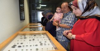 Düzce Üniversitesi Şehirle Bütünleşiyor