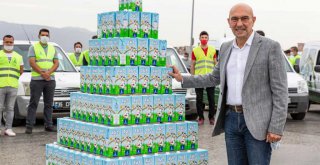İzmir’in 'süt kuzuları' 156 bini geçti