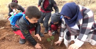 Kırıkkalede 2 Bin Öğrenci 5 Bin Fidan Dikti