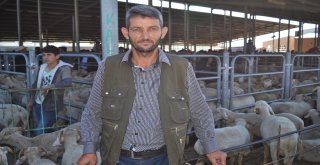 Kurban Pazarında Bayram Hareketliği Başladı