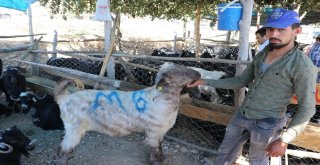 Arefe Günü Pazarlıklar Sıkılaştı