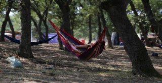 Bu Festival Bursayı Sallayacak