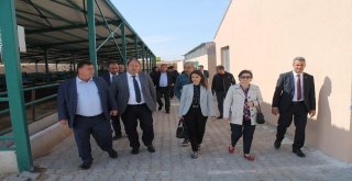 Bilecik, Tarıma Dayalı İhtisas Organize Sanayi Bölgeleri İle Gelişecek