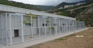 Hayvan Bakımevi Ve Rehabilitasyon Merkezi Açıldı