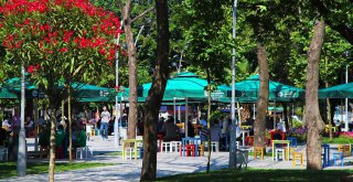 BELPAŞ sosyal tesisleri bayramda hizmette olacak