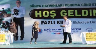 Kağıthanede Çocuklardan Hayvanlara Mektup Rekoru