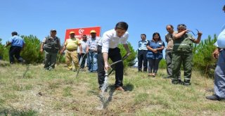 Selendide 15 Temmuz Şehitleri Hatıra Ormanı Oluşturuldu