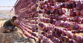 Aşırı Sıcaklıklar Bir Tek Onlara Yaradı