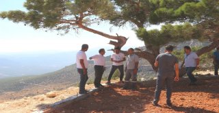 Mut Belediyesi İlçeye Yeni Mesire Alanı Kazandırıyor