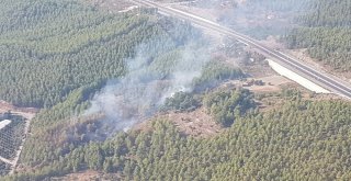 Dalamanda 1 Hektar Orman Kül Oldu