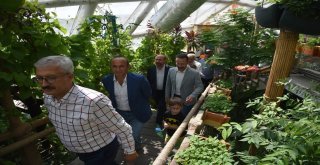 Bürokratlar Selçuklunun Sembol Mekanlarını Gezdi