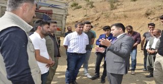 Beytüşşebapta Genç Çiftçilere Büyükbaş Hayvan Dağıtıldı