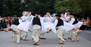 Yenimahallede Dans Festivali