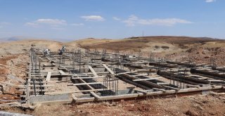 Siirtte Sokak Hayvanları İçin Barınak Yapımına Başlandı