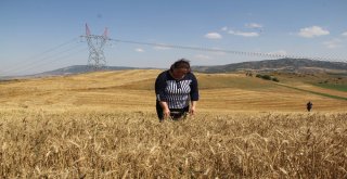 Eşini Kaybetti Mücadeleden Yılmadı Azmiyle Köylü Kadınlara Örnek Oldu