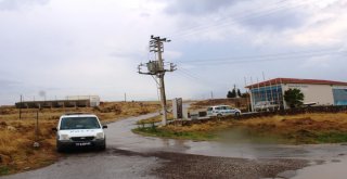 Trafo Direğinin Altından Geçen Koyunlar Elektrik Akımına Kapılarak Telef Oldu