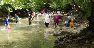 Angebire Doldu Taştı