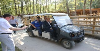 (Özel) Prof. Dr. Ahmet Haluk Dursun “Millet Bahçesi” Projesinin Detaylarını Açıkladı