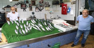 Balıkçılar Denizden Umutlu