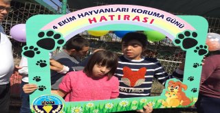 Çocuklar Sevimli Dostlarla Dolu Dolu Bir Gün Geçirdi