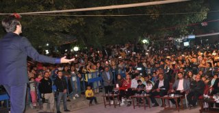 Bulanıkta Zakkum Coşkusu