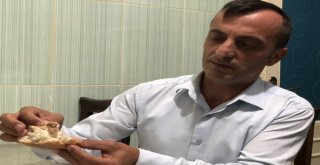 Ekmekten Yara Bandı Çıktığı İddiası