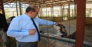 Ustaoğlu: “Paralar, Bu Millete Hizmet Olarak Dönüyor”