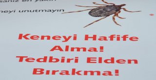 “Keneyi Hafife Alma Tedbiri Elden Bırakma”