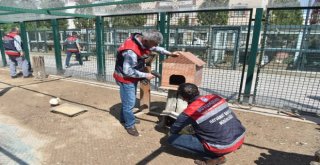 Sincan Hayvanat Bahçesinde Kuluçka Heyecanı…