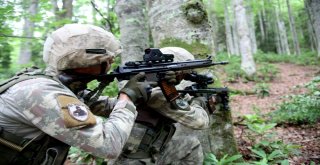 Jöperler İlk Defa Bu Kadar Yakından Görüntülendi