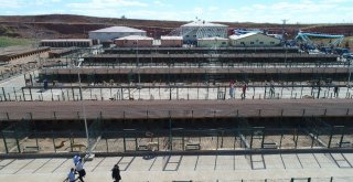 Sokak Hayvanlarına 7,5 Milyon Liralık Yeni Yuva