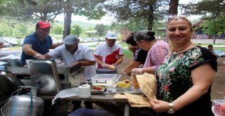 Samsunun Muhtarları Piknikte Buluştu