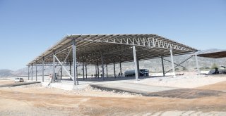 Canlı Hayvan Borsası Kurbanda Hizmette