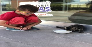Su Giderine Sıkışan Kediyi Çocuklar Kurtardı