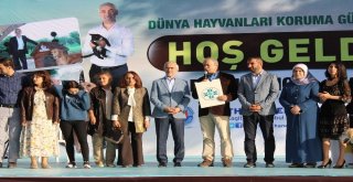 Kağıthanede Çocuklardan Hayvanlara Mektup Rekoru