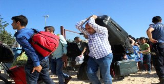 11 Bin Suriyeli Kurban Bayramı İçin Ülkesine Gitti