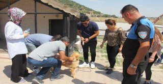 Kayseri Emniyetinden Bilimsel Eğitim Çalışmalarına Destek