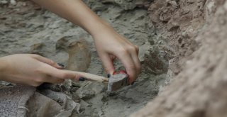 Çankırıda Omurgalı Fosil Kazıları Başladı