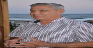 Dalamana Yıldız Yağmuru