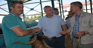 Tatvanda Arife Günü Telaşı