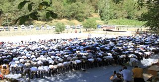 Bediüzzaman Said Nursi İçin Mevlit Verildi