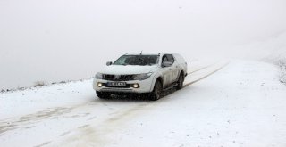 Erzurumda Lapa Lapa Kar Ve Tipi