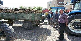 Kömür Fiyatları Yükselince Vatandaşlar Tezek Almaya Başladı