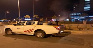 Alanyada Sinekle Mücadele Hız Kesmiyor